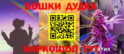 ешки Камышлов