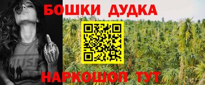 ешки Камышлов